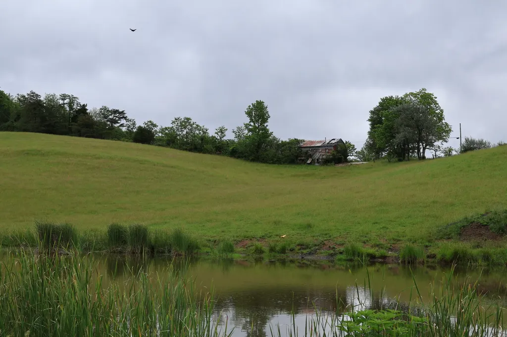 4135 Big Andy Ridge Road Rogers KY 41365