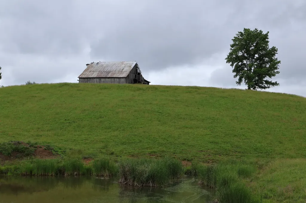 4135 Big Andy Ridge Road Rogers KY 41365