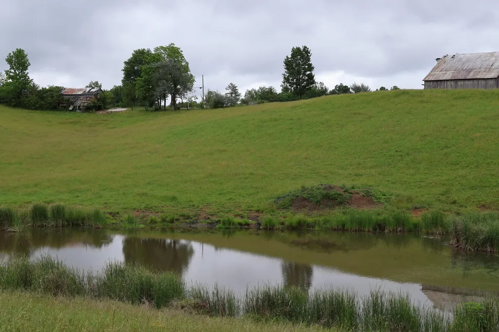 4135 Big Andy Ridge Road Rogers KY 41365