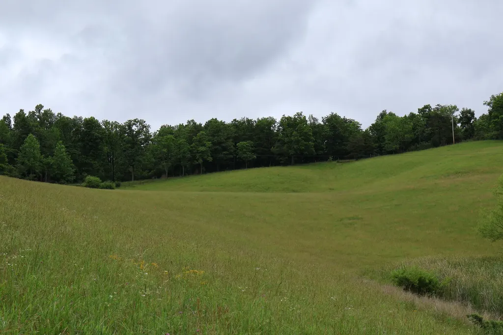 4135 Big Andy Ridge Road Rogers KY 41365