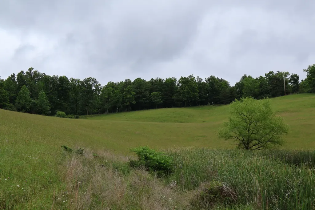 4135 Big Andy Ridge Road Rogers KY 41365