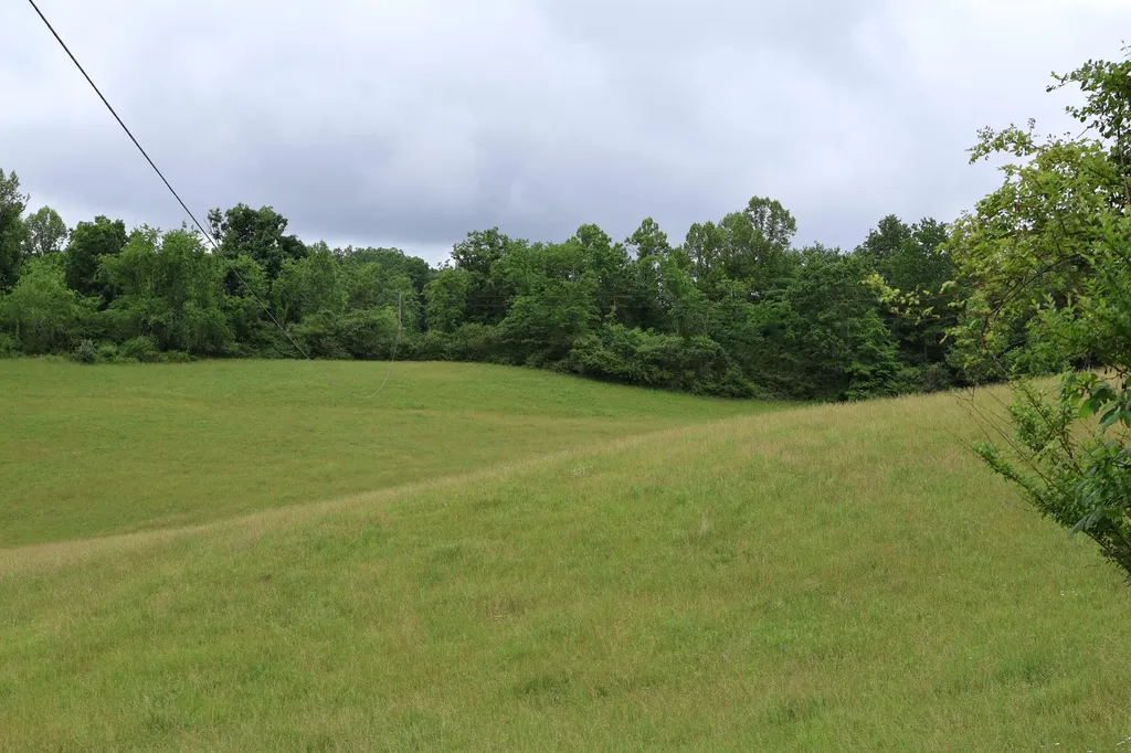 4135 Big Andy Ridge Road Rogers KY 41365