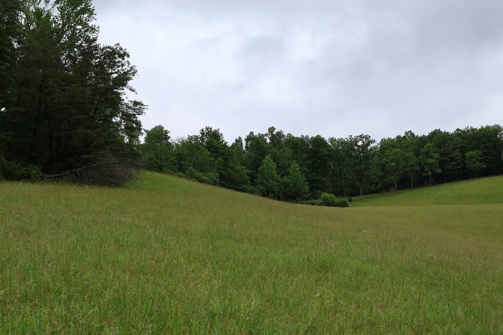 4135 Big Andy Ridge Road Rogers KY 41365