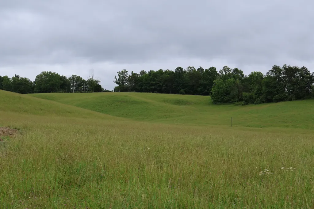 4135 Big Andy Ridge Road Rogers KY 41365