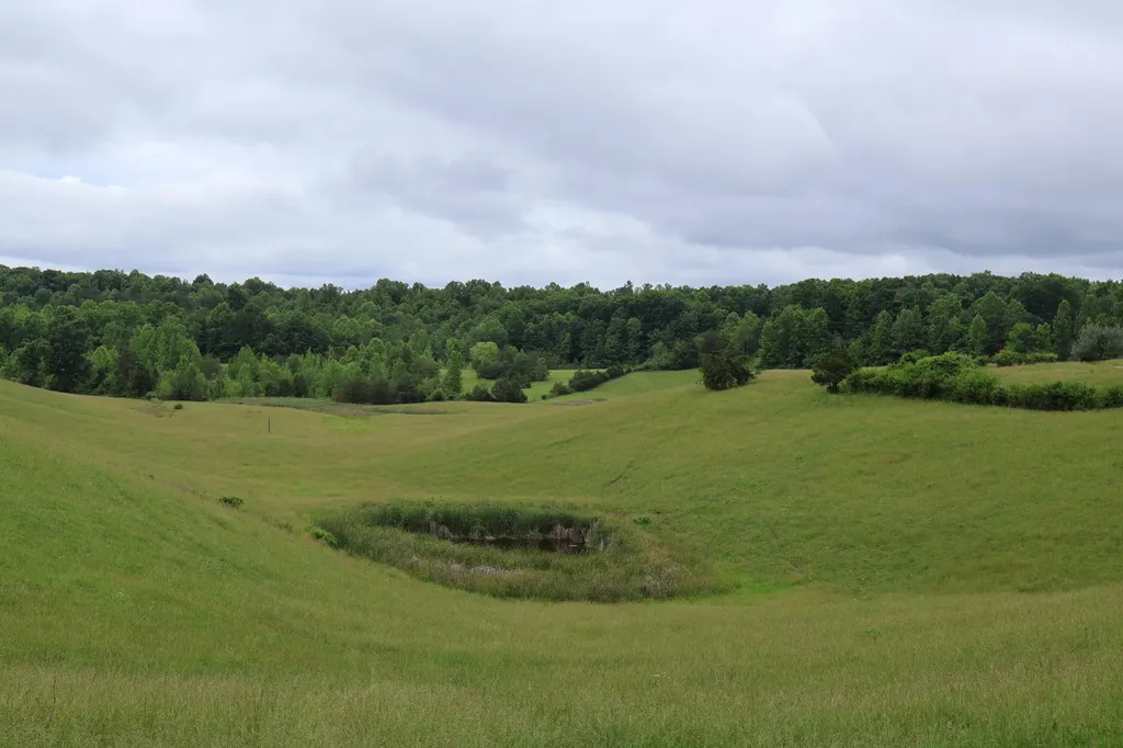 4135 Big Andy Ridge Road Rogers KY 41365