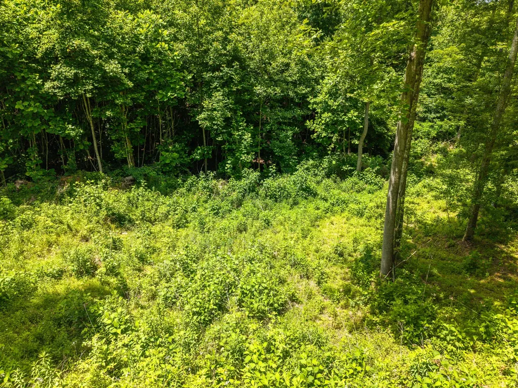 23 Ky-1609 Parkers Lake KY 42634