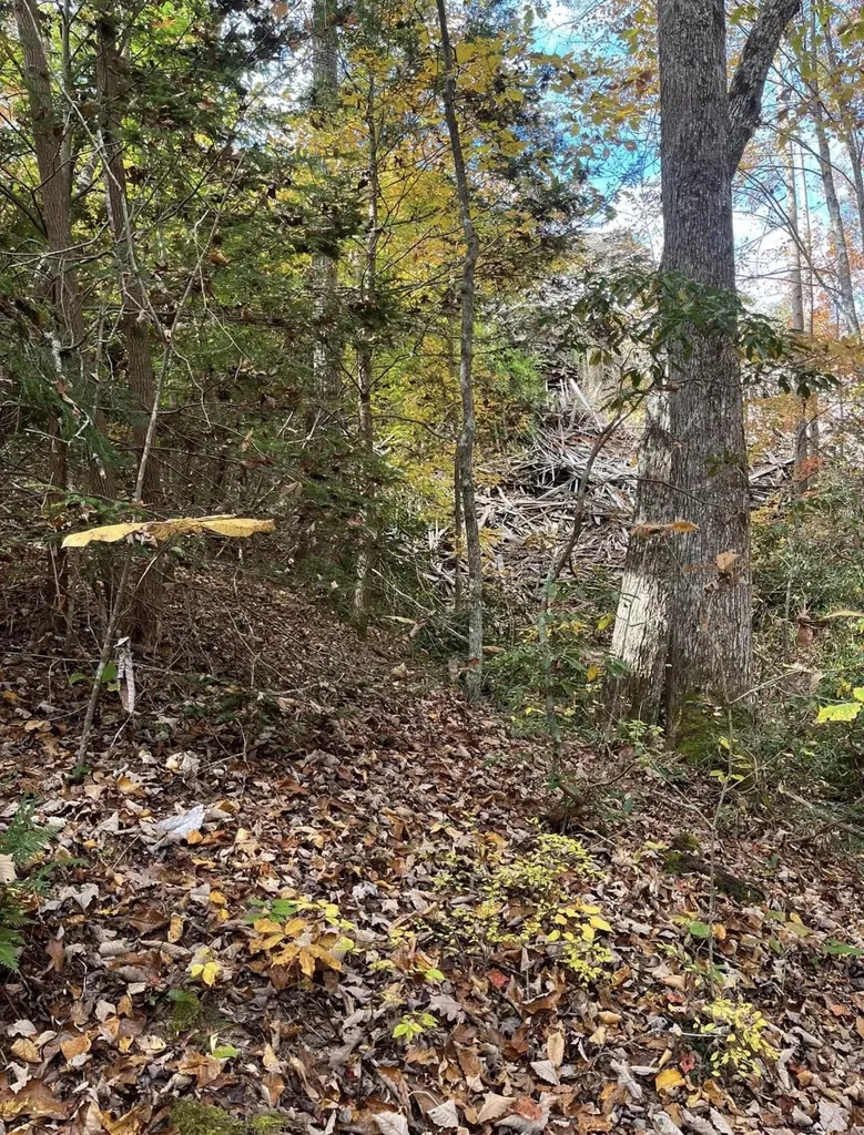 5764 Somerset Road London KY 40741