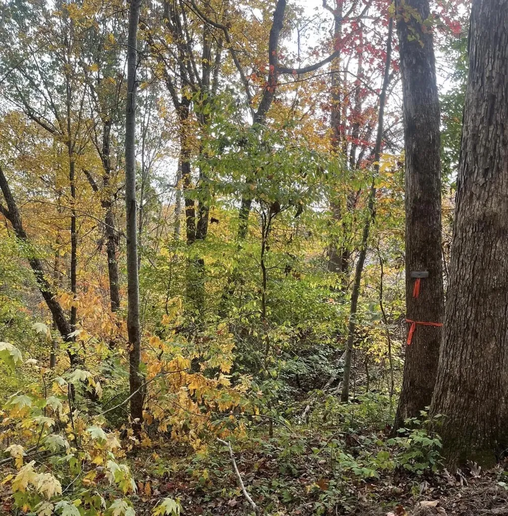 5764 Somerset Road London KY 40741
