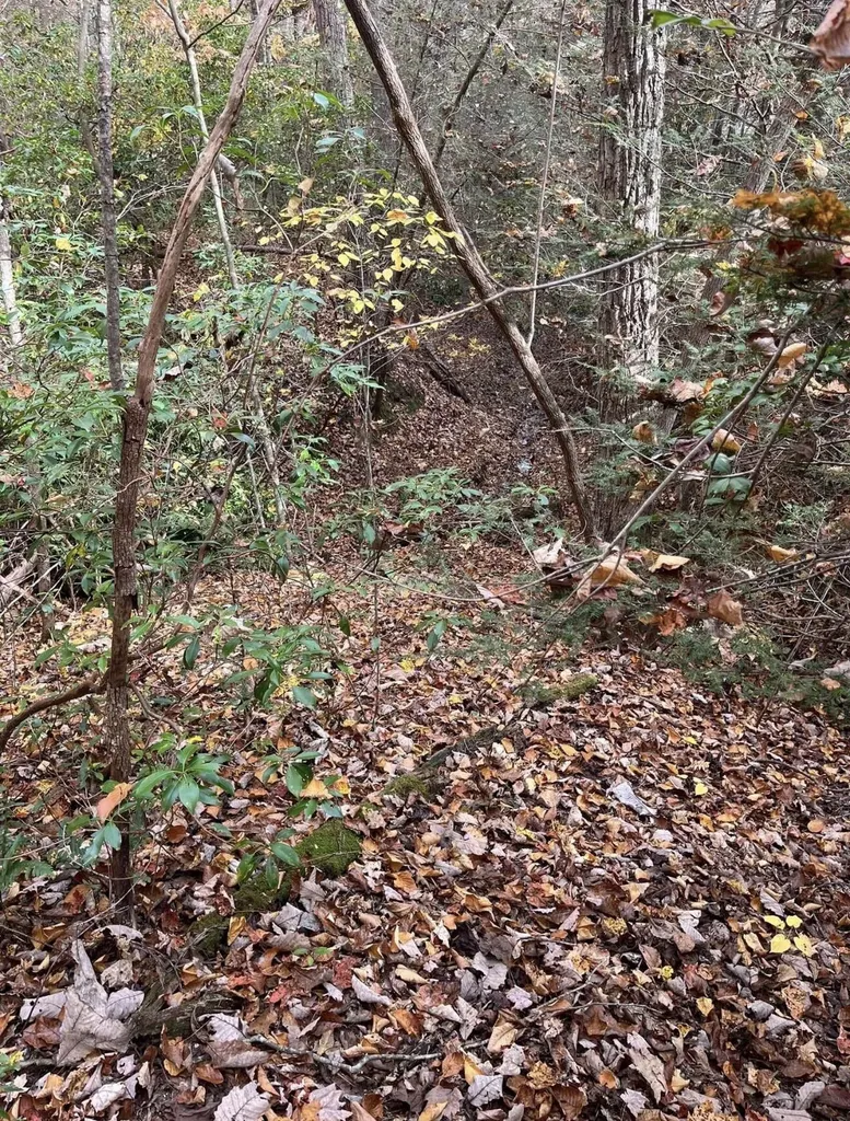 5764 Somerset Road London KY 40741