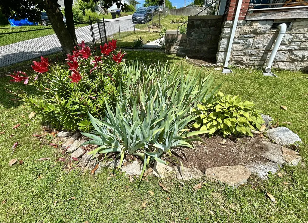 319 Henry Street Frankfort KY 40601
