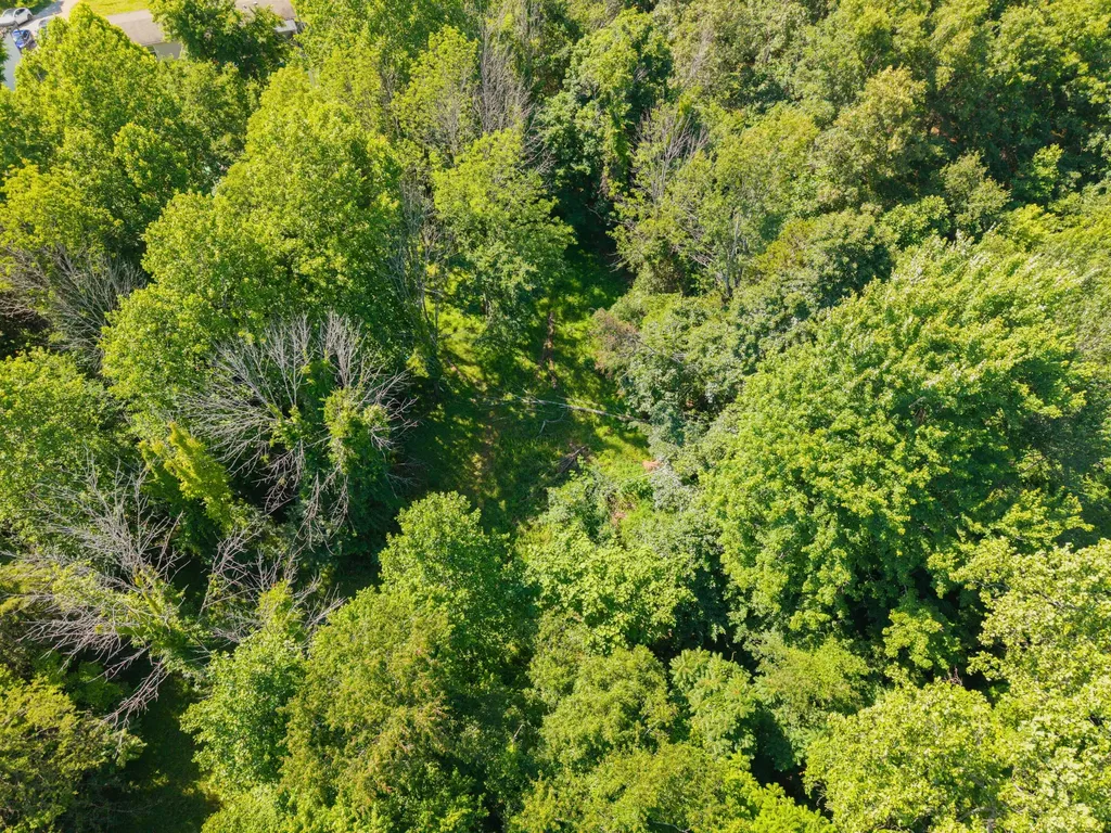 4504 Cave Springs Road Nancy KY 42544