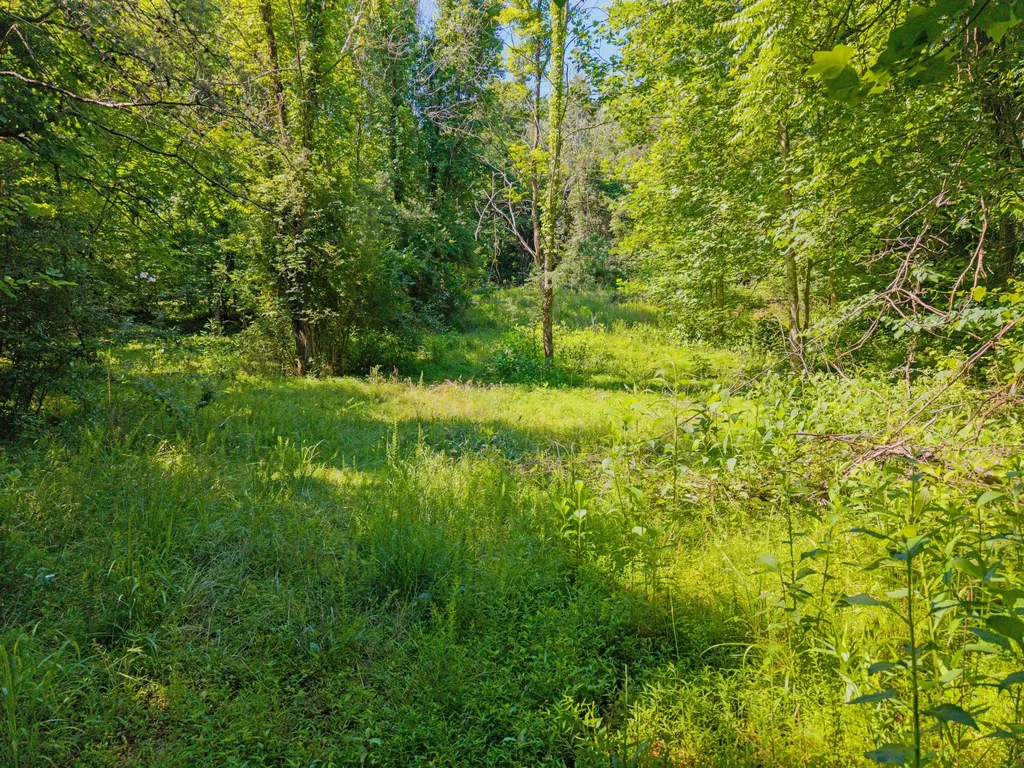 4504 Cave Springs Road Nancy KY 42544