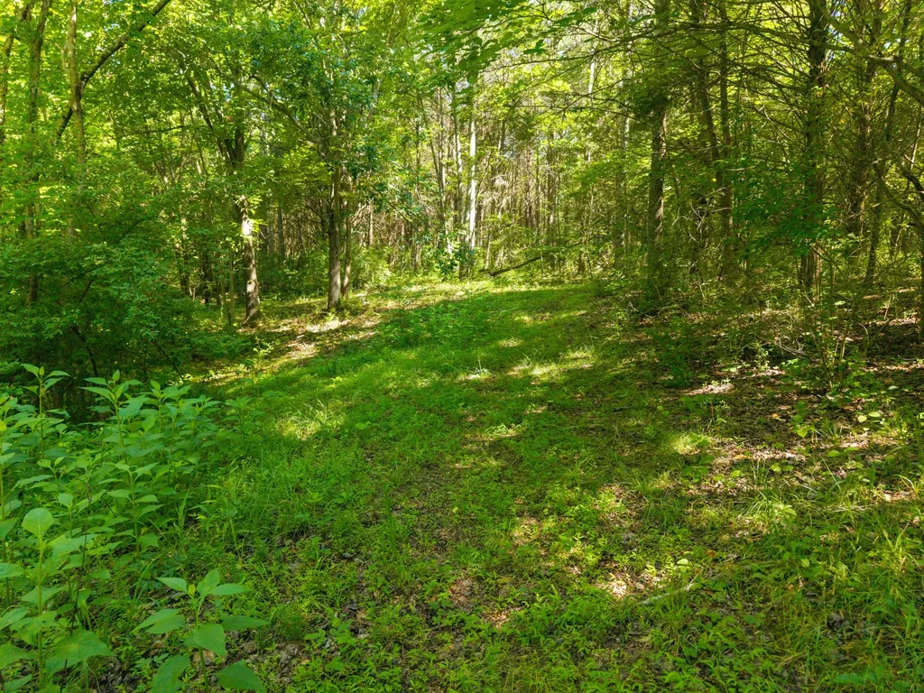 4504 Cave Springs Road Nancy KY 42544