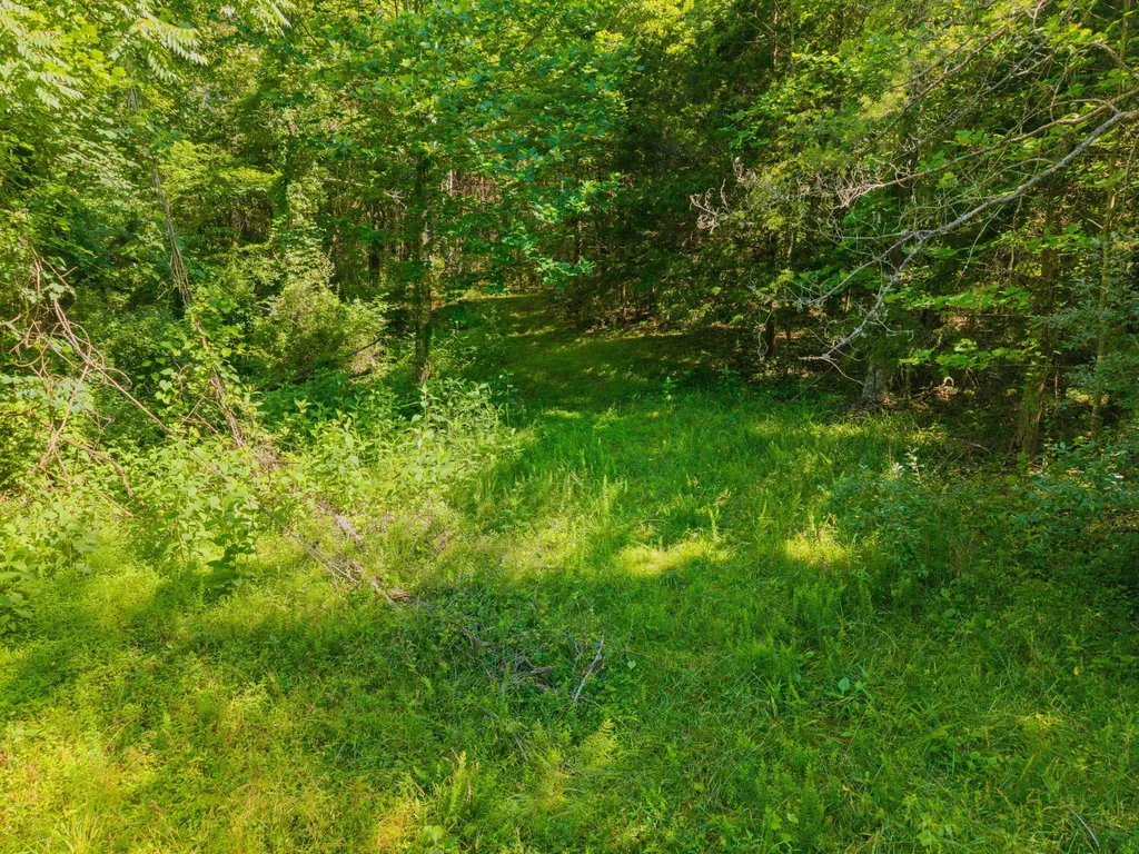 4504 Cave Springs Road Nancy KY 42544