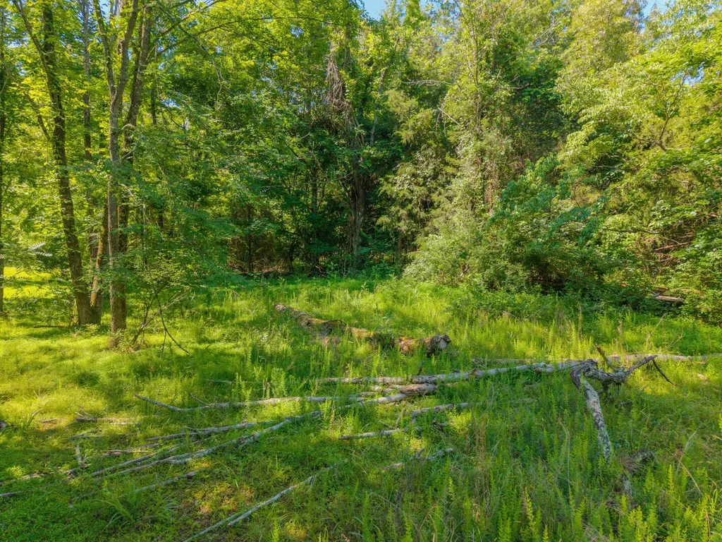 4504 Cave Springs Road Nancy KY 42544