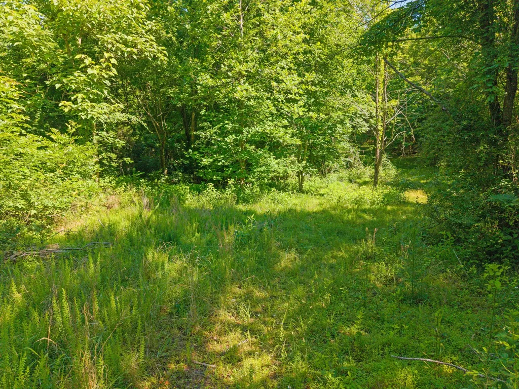 4504 Cave Springs Road Nancy KY 42544