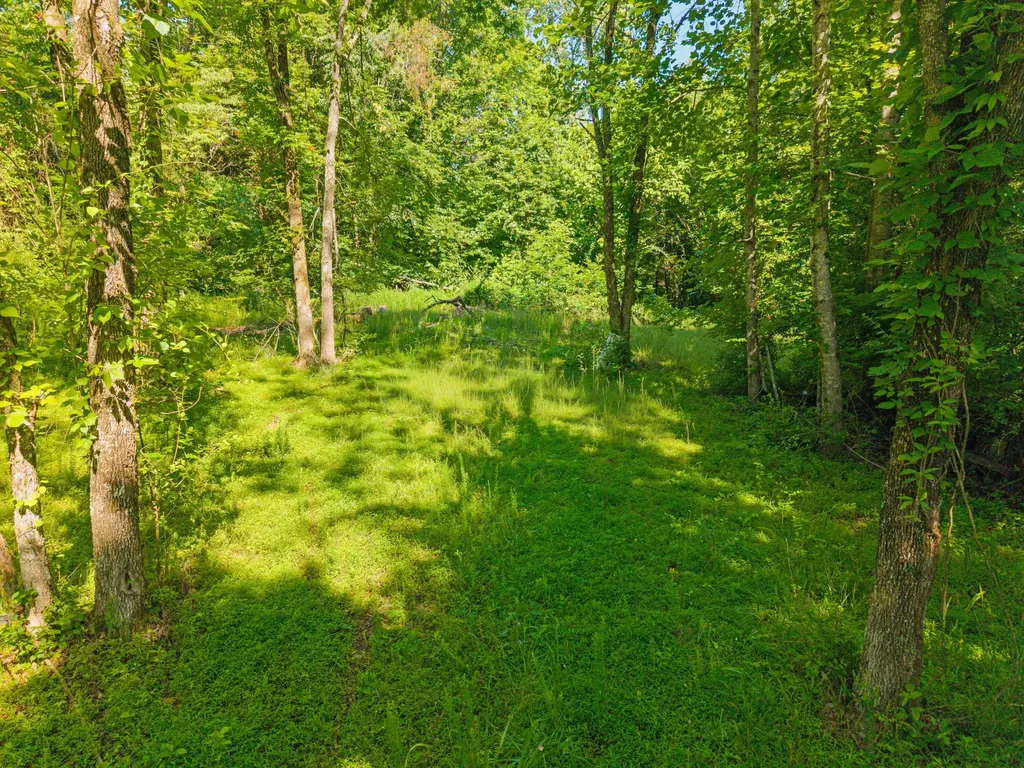 4504 Cave Springs Road Nancy KY 42544