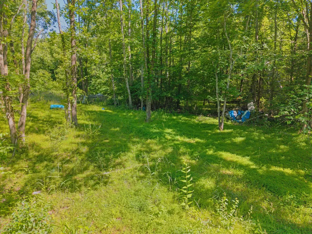 4504 Cave Springs Road Nancy KY 42544