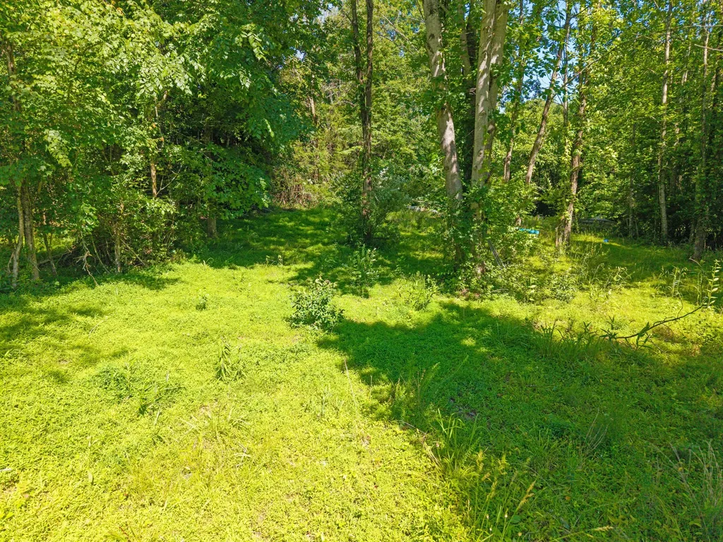 4504 Cave Springs Road Nancy KY 42544