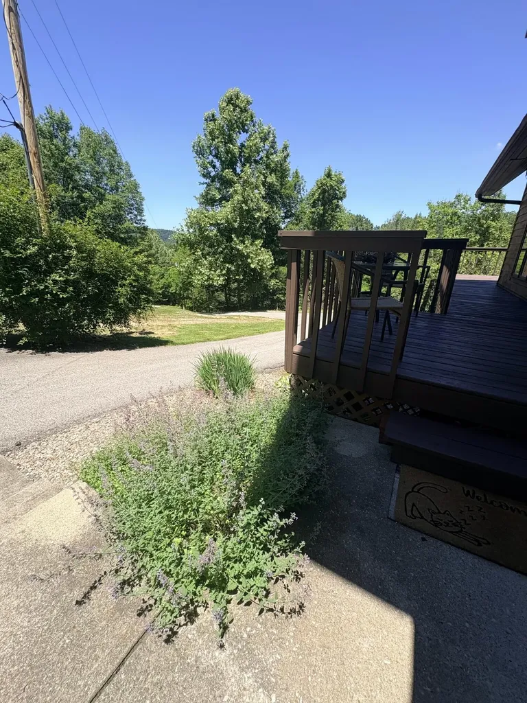 12430 Ky-10 Quincy KY 41166