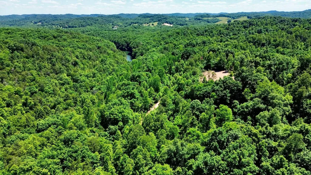 165A Open Fork Road Olive Hill KY 41164