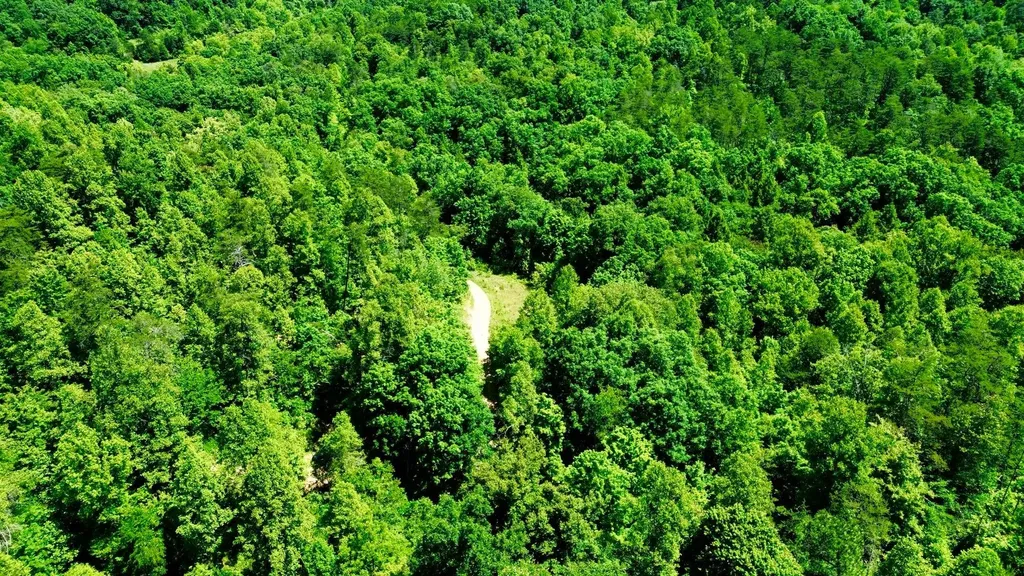 165A Open Fork Road Olive Hill KY 41164