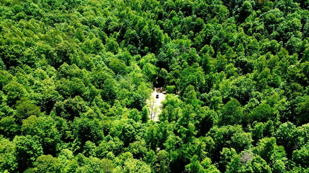 165A Open Fork Road Olive Hill KY 41164