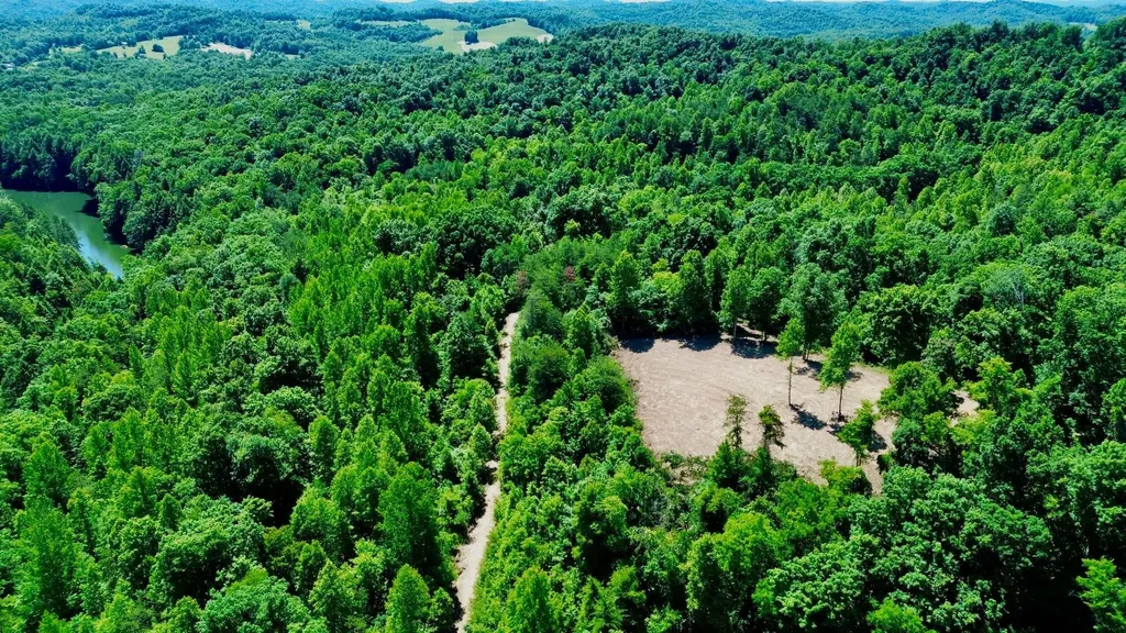 165A Open Fork Road Olive Hill KY 41164