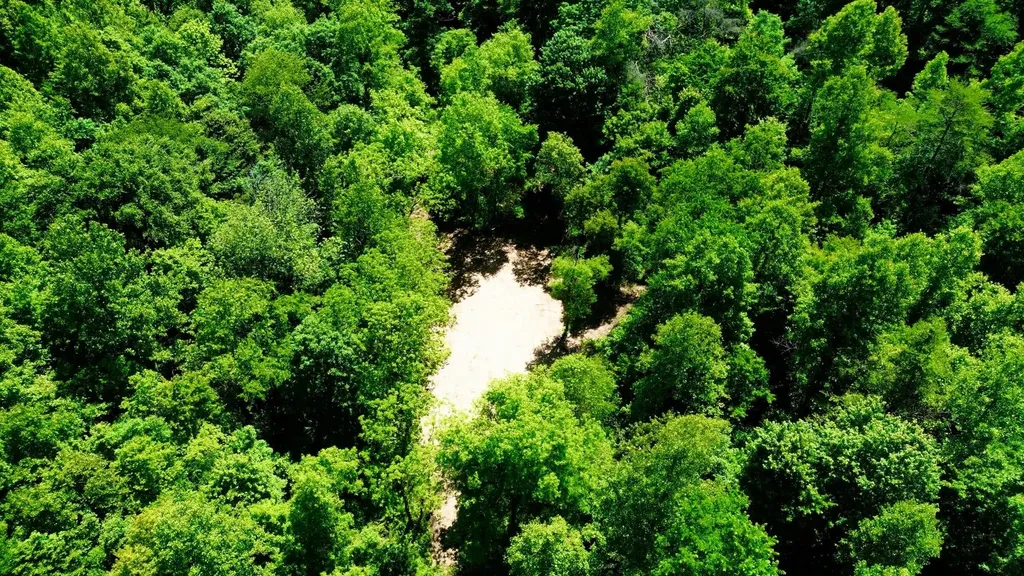 165A Open Fork Road Olive Hill KY 41164