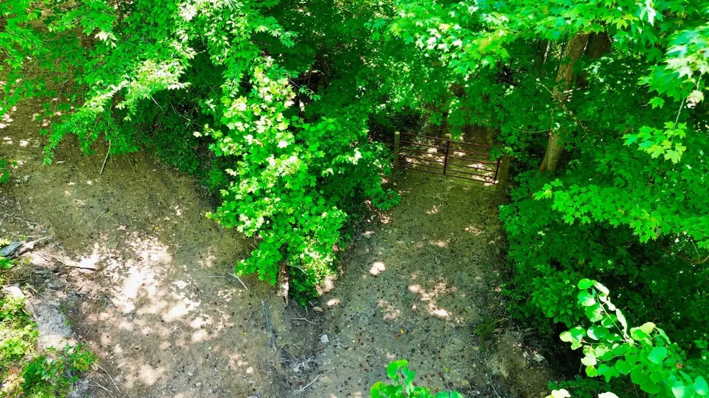 165A Open Fork Road Olive Hill KY 41164
