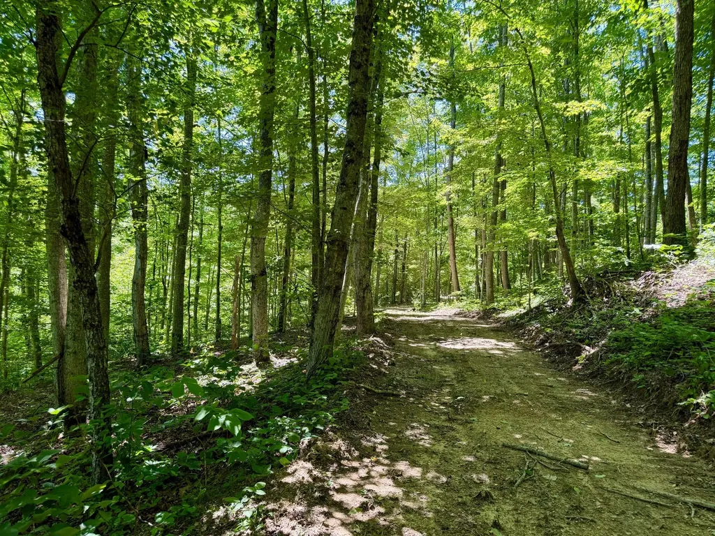 165A Open Fork Road Olive Hill KY 41164