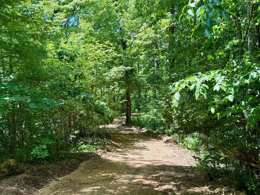 165A Open Fork Road Olive Hill KY 41164