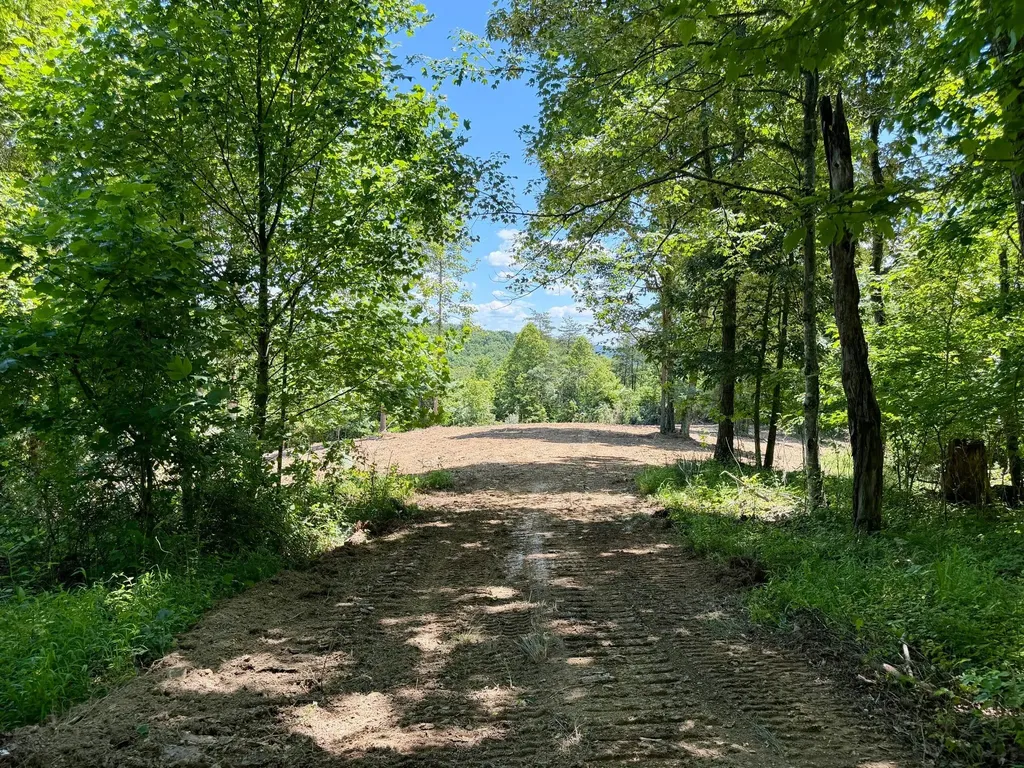 165A Open Fork Road Olive Hill KY 41164