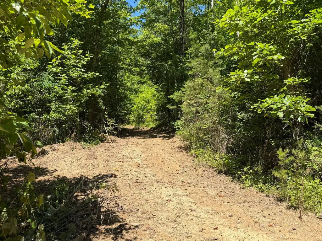 165A Open Fork Road Olive Hill KY 41164