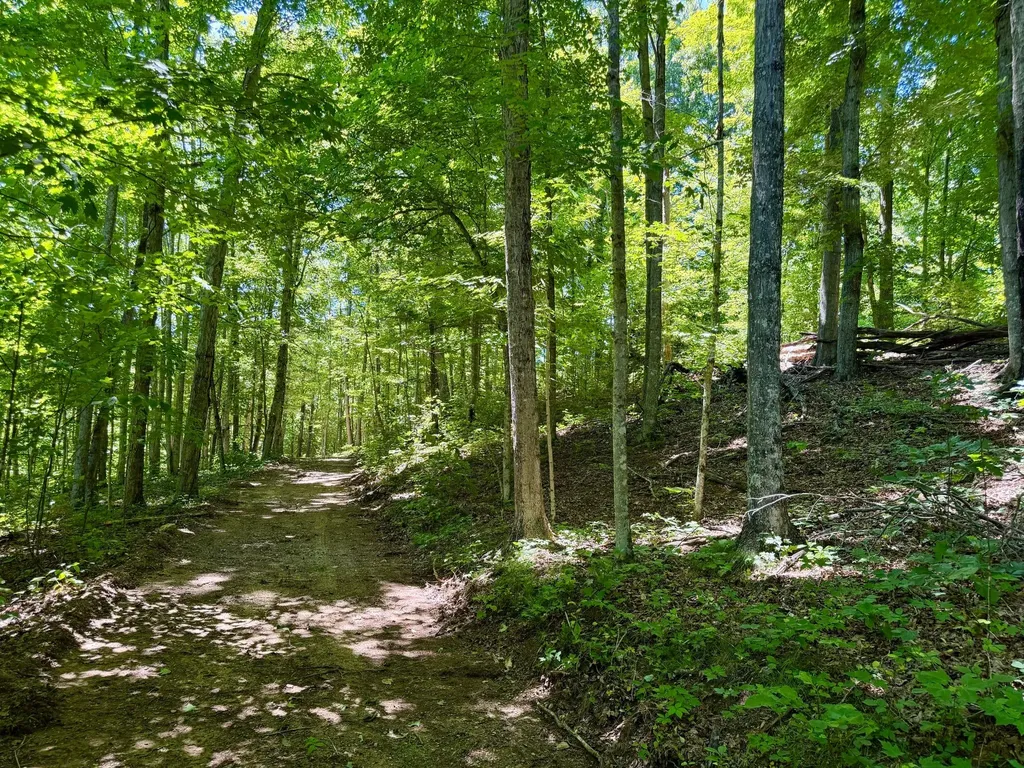 165A Open Fork Road Olive Hill KY 41164