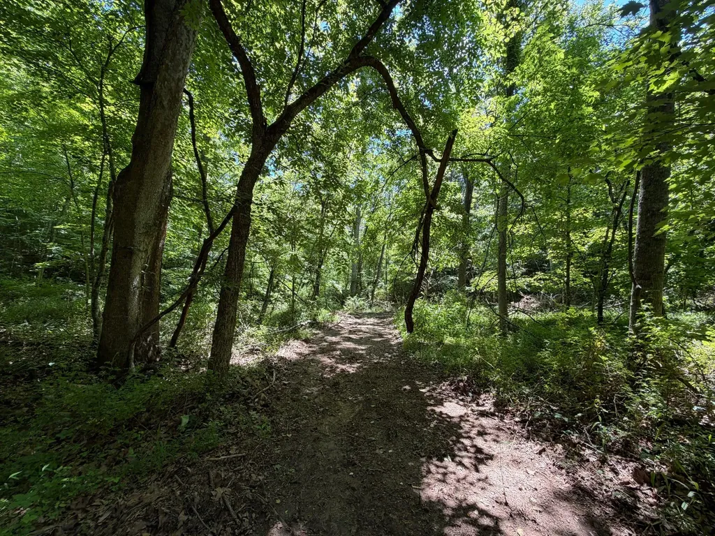 165A Open Fork Road Olive Hill KY 41164