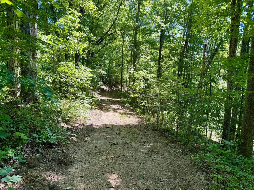 165A Open Fork Road Olive Hill KY 41164
