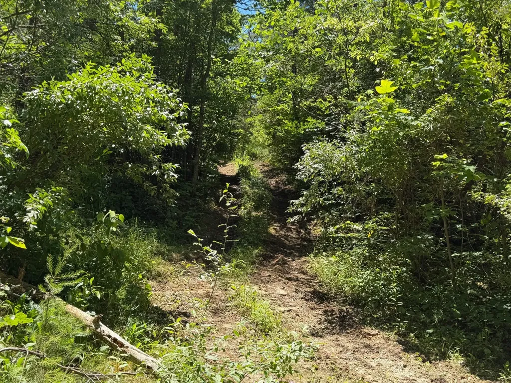 165A Open Fork Road Olive Hill KY 41164