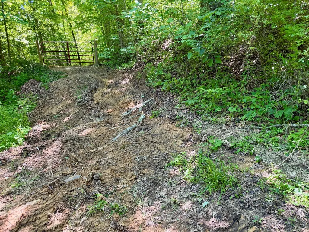 165A Open Fork Road Olive Hill KY 41164