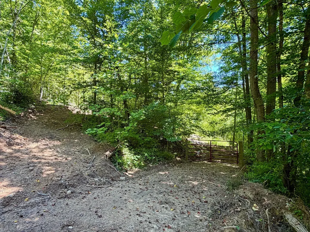 165A Open Fork Road Olive Hill KY 41164