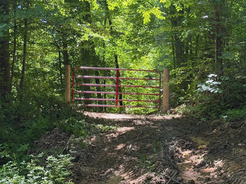 165A Open Fork Road Olive Hill KY 41164