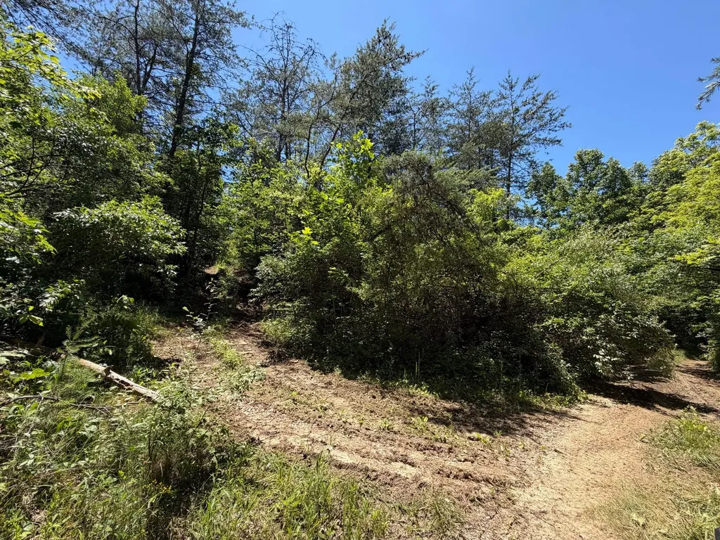 165A Open Fork Road Olive Hill KY 41164