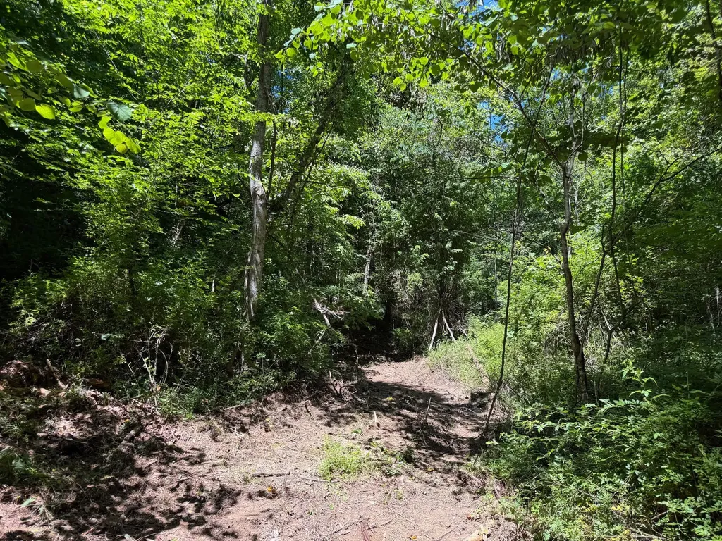 165A Open Fork Road Olive Hill KY 41164