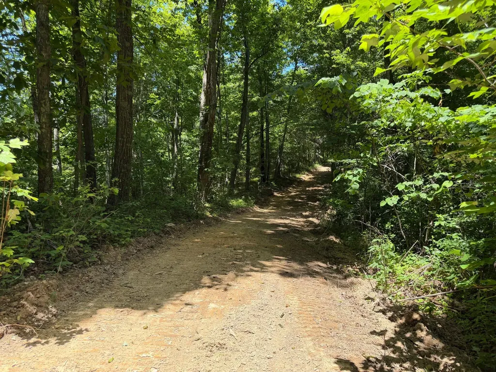 165A Open Fork Road Olive Hill KY 41164