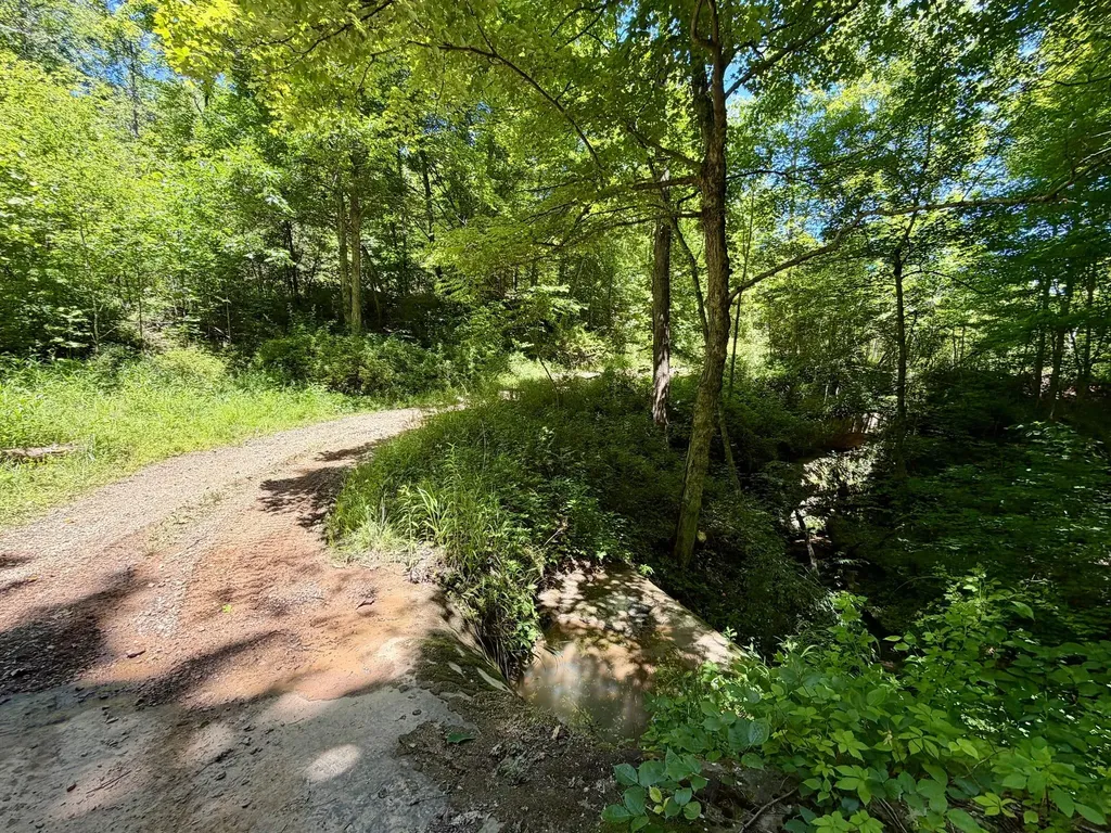 165A Open Fork Road Olive Hill KY 41164