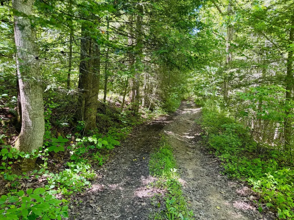 165A Open Fork Road Olive Hill KY 41164