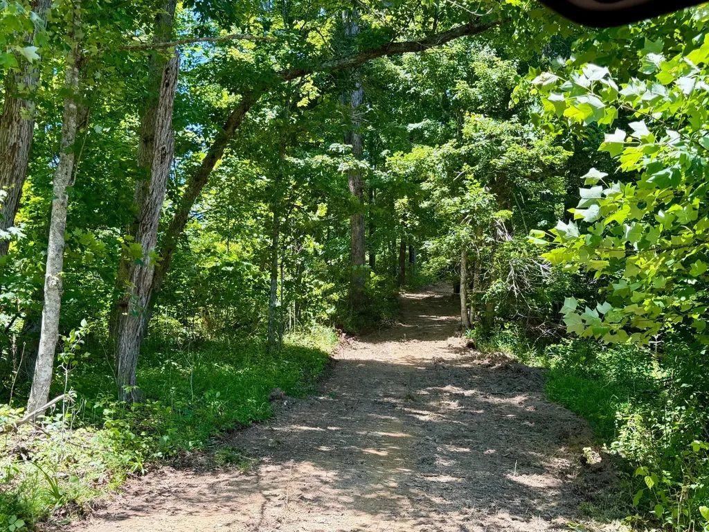165A Open Fork Road Olive Hill KY 41164