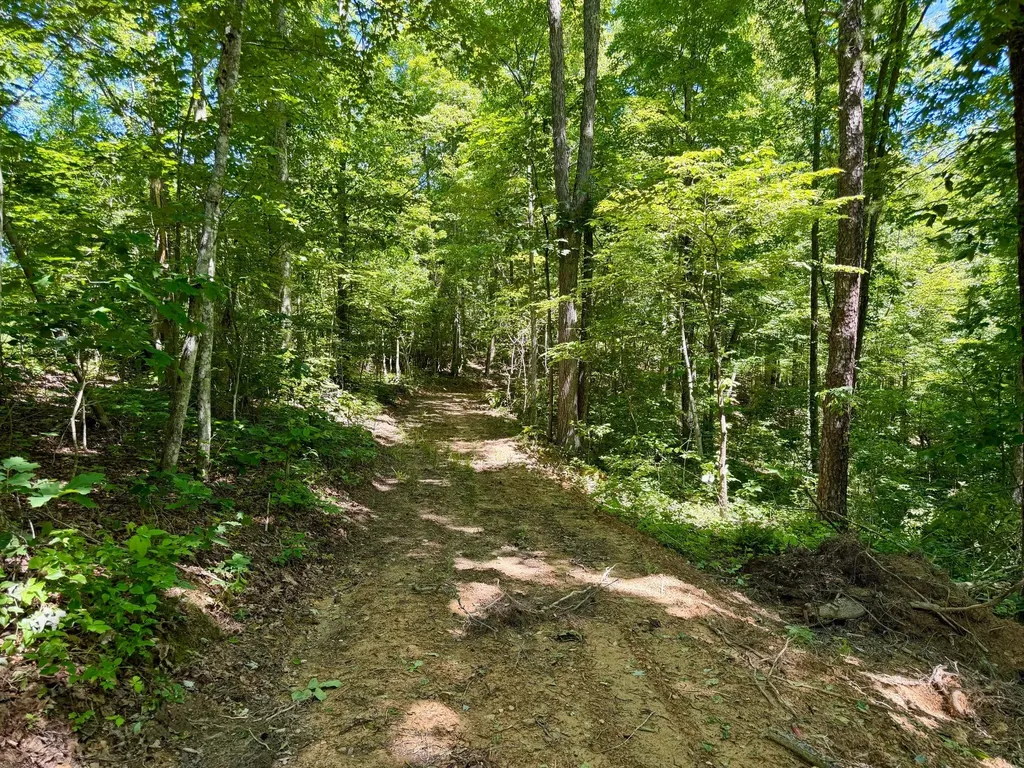 165A Open Fork Road Olive Hill KY 41164