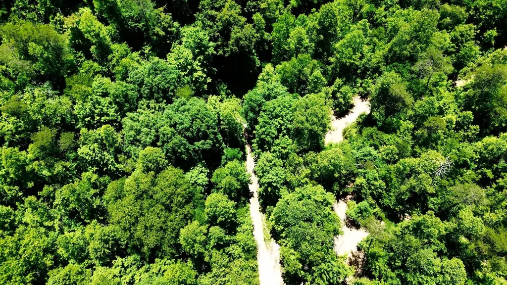 165A Open Fork Road Olive Hill KY 41164