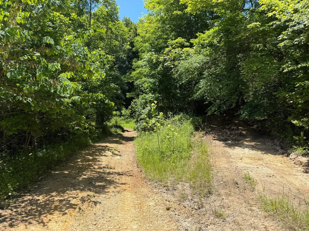 165A Open Fork Road Olive Hill KY 41164